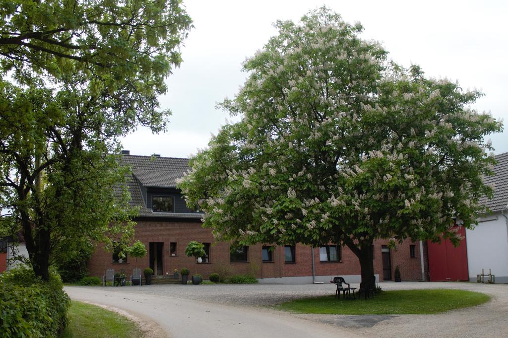 Hardthof - Apartment